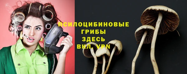 твердый Белоозёрский